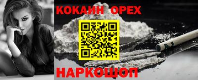 альфа пвп Новодвинск