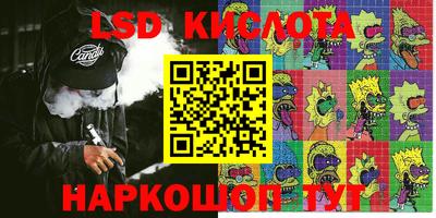 альфа пвп Новодвинск