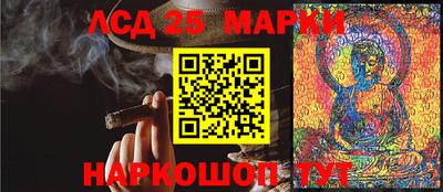крисы Новокубанск