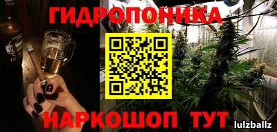 альфа пвп Новодвинск