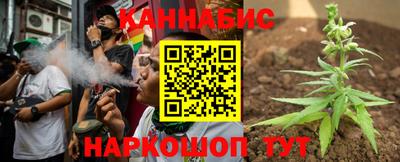 крисы Новокубанск