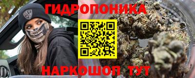 твердый Новозыбков