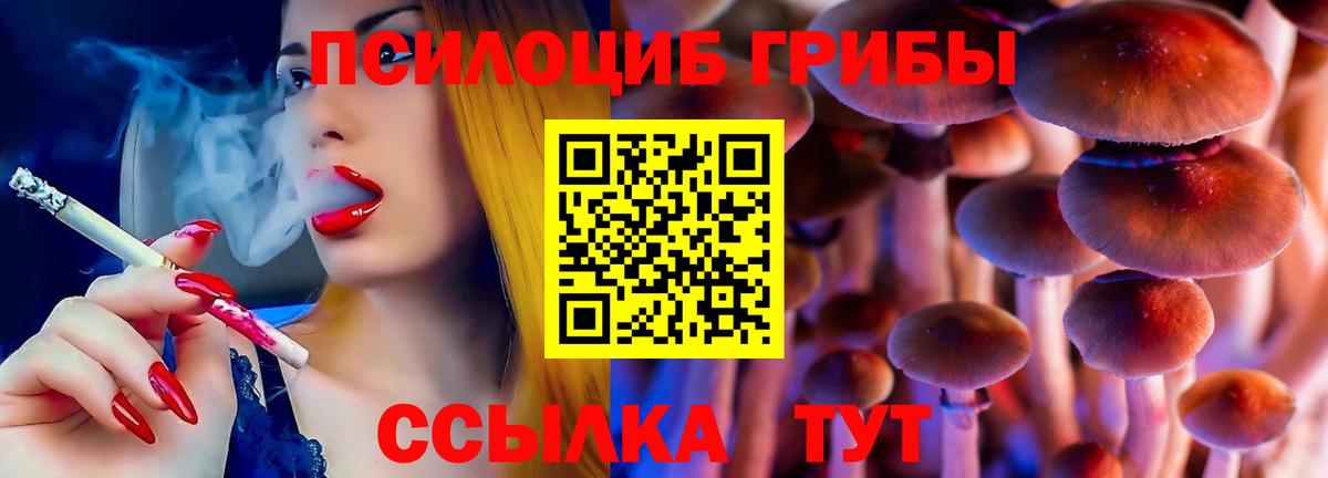 Псилоцибиновые грибы Psilocybe  Вход с VPN  Псилоцибиновые грибы Cubensis  Сокол 